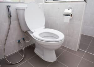 Why Won’t Your Toilet Flush? Common Toilet Problems & Fixes